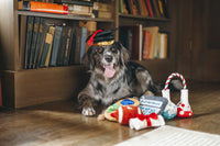 Back to School Toy Set