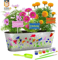 Paint & Plant Flower Growing Kit