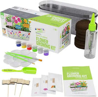 Paint & Plant Flower Growing Kit