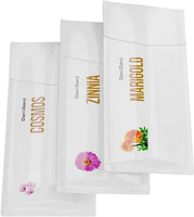 Paint & Plant Flower Growing Kit