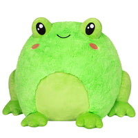 Frog Squishable