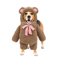 Teddy Bear Pet Costume