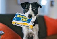 90s Classic Woofbuster Video