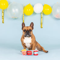 Barkflix Dog Toy Set