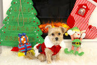 Mrs. Claus Suede Dress