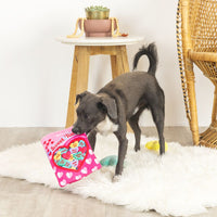 Sweet Talk Hide & Seek Toy